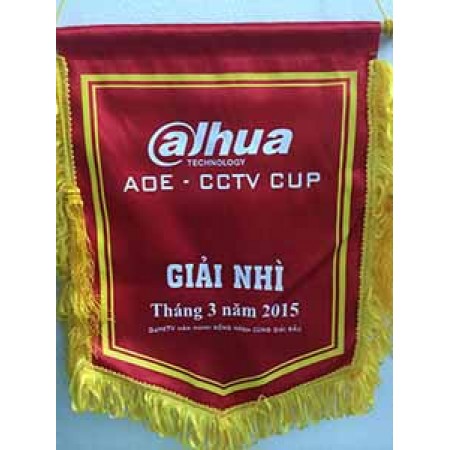 Biển Bạc giành giải nhì AOE CCTV CUP 2015 Miền Bắc